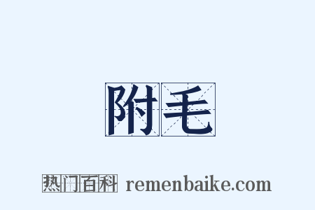 附毛是什么意思的图片